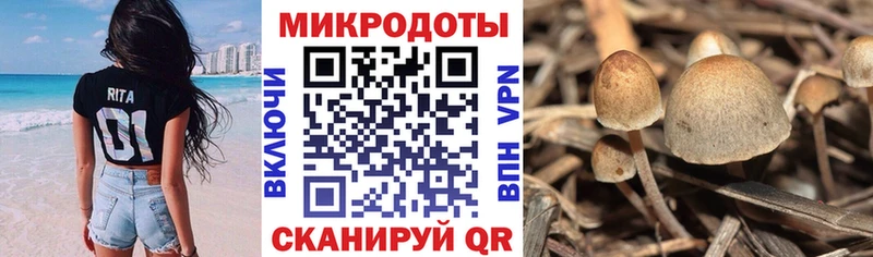 Купить где  Кирсанов  Галлюциногенные грибы ЛСД 